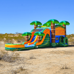 Cali20Palms202 1760385334 Cali Palms Dual Lane Combo