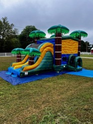 Cali20Palms2011 1761845817 Cali Palms Dual Lane Combo