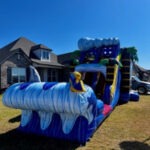 shark2055_1761846980