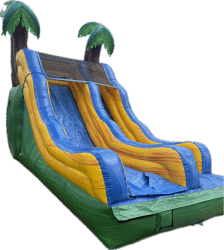 15' Tropical Wave Slide tropical2033 1761848283 15' Tropical Wave Slide