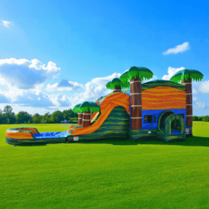 Cali20Palms 1766255763 big Bounce House Rentals and Water Slide Rentals Broken Arrow, Oklahoma