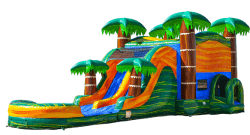 Cali20picture 1764784416 1 Cali Palms Dual Lane Combo (Wet add $50)