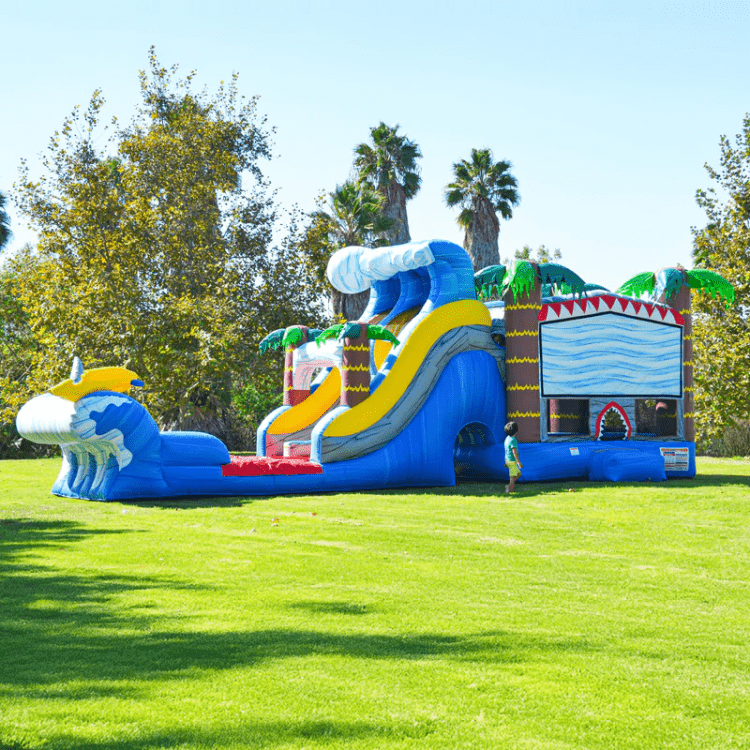 Bounce House Rentals