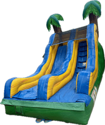 Tropical20222.jpg 1761848283 15 Foot Tropical Wave Slide Dry