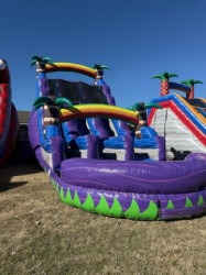 22 Foot Purple Crush Dual Lane Slide (Wet add $50)