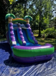Purple20Rain 1764695324 12 Foot Purple Rain Water Slide