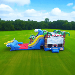 Shark Attack Dual Lane Combo Slide Dry